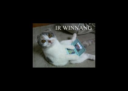 Nintendo DS Kitty Wins!