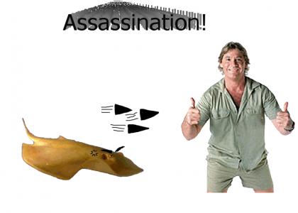 Steve Irwin: the assassination