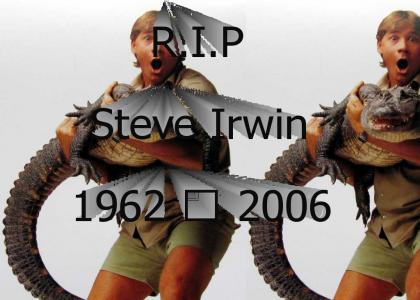 R.I.P Steve Irwin
