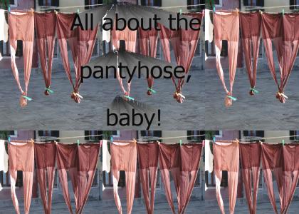 All about the pantyhose!