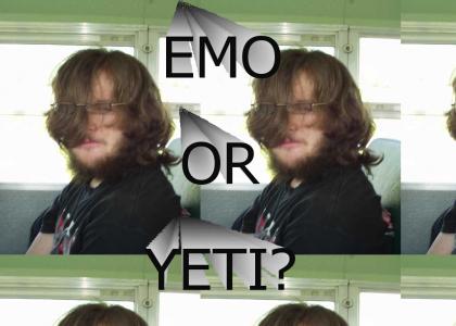 Emo Yeti