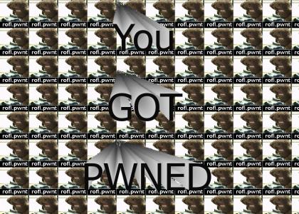 rofl-pwned