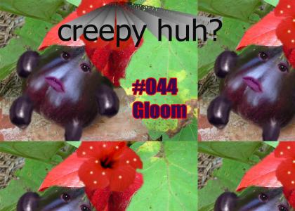 Gloom is real!!!