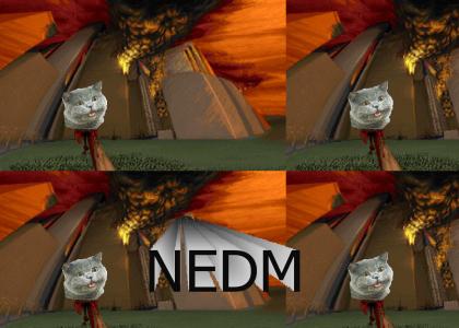NEDM ending