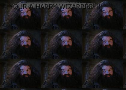 your a Harry Wizard