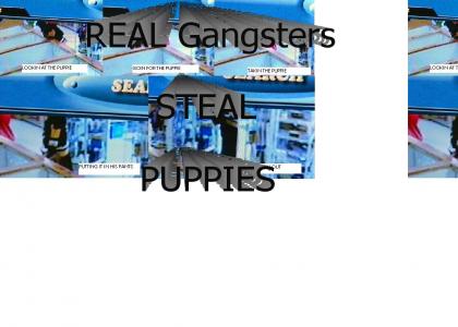 Only Real Gangsters Steal Puppies