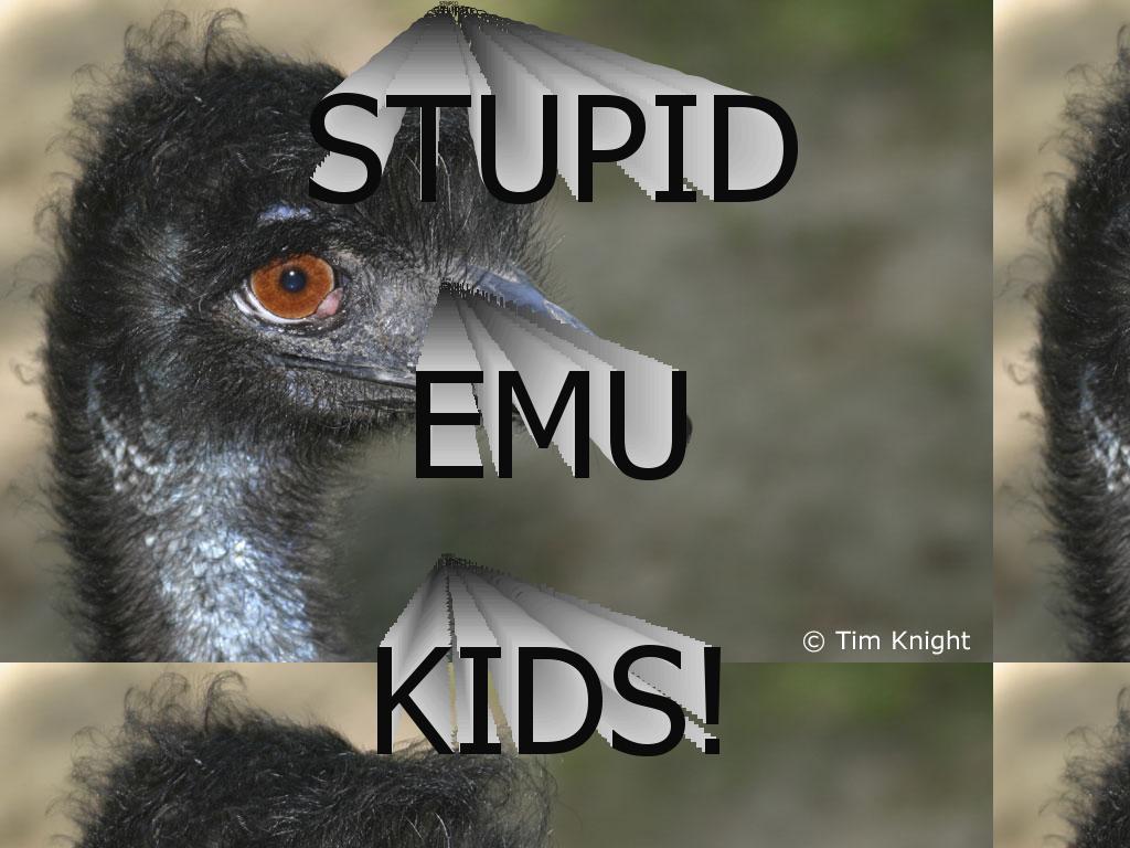 emukid