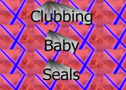 Clubbing Baby Seals