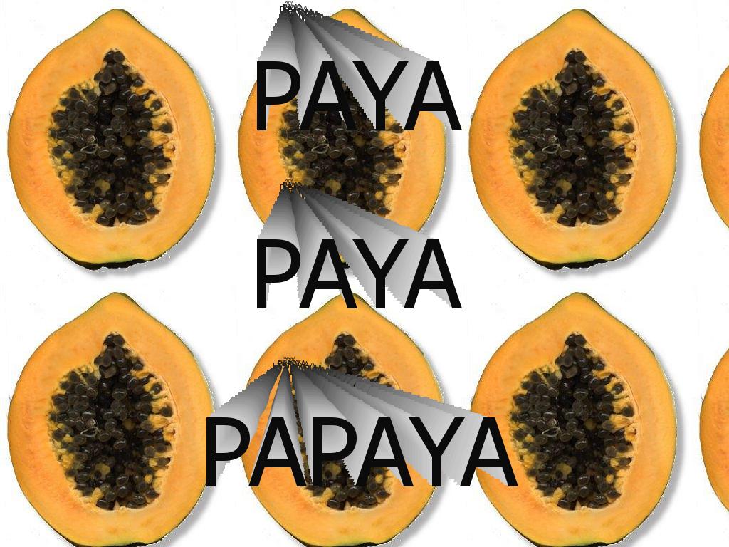 payapayapaya