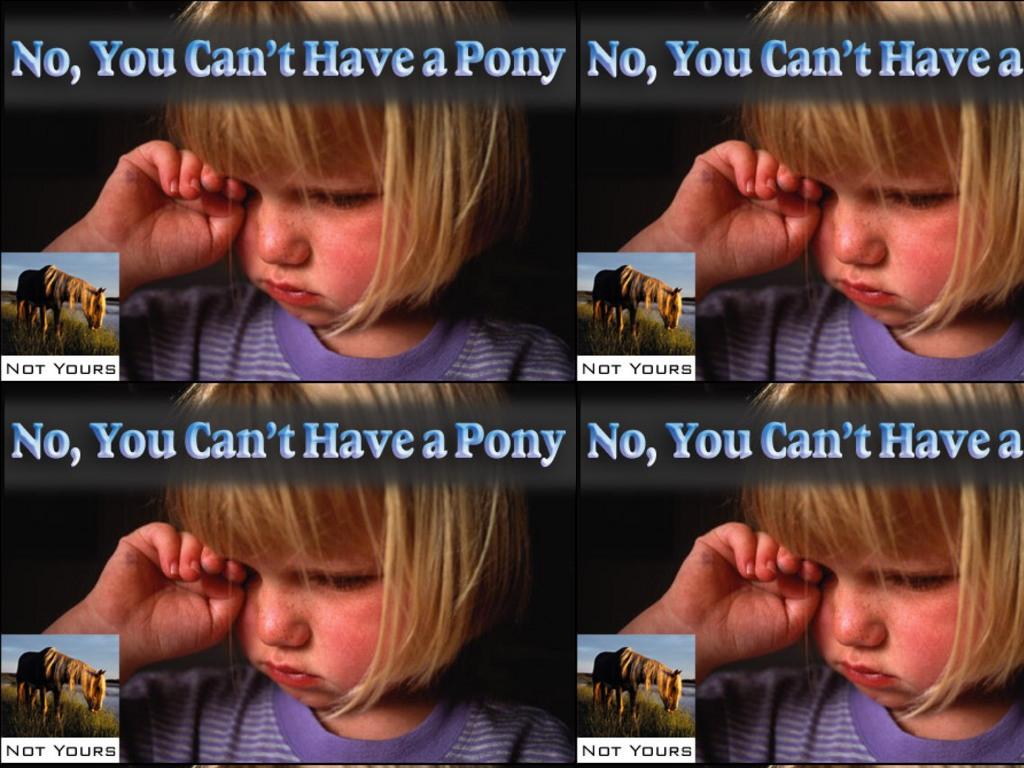 ponykid