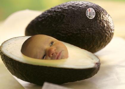 ...It's just a baby avocado