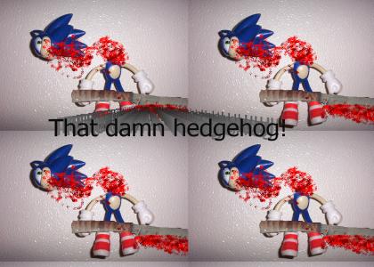 Sonic murdered himself!