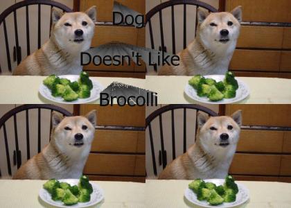 Dog doesn't like brocolli