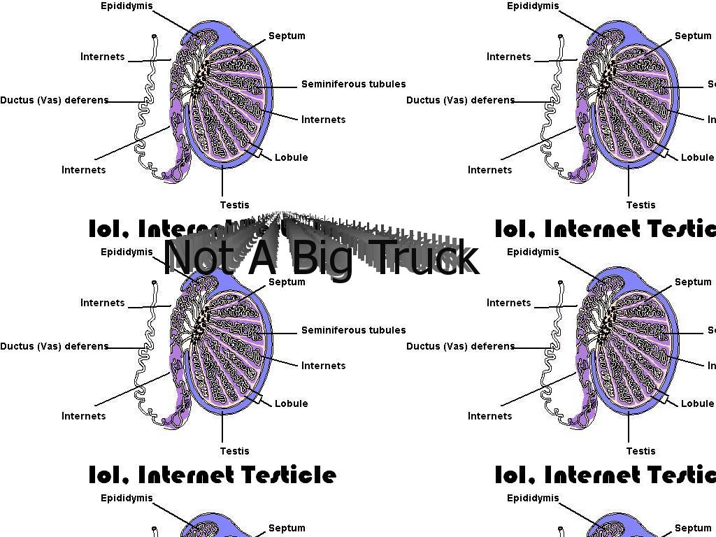 internettesticle