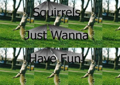 Squirrels Just Wanna Have Fun