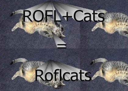 ROFLCATS - The next lolocaust.