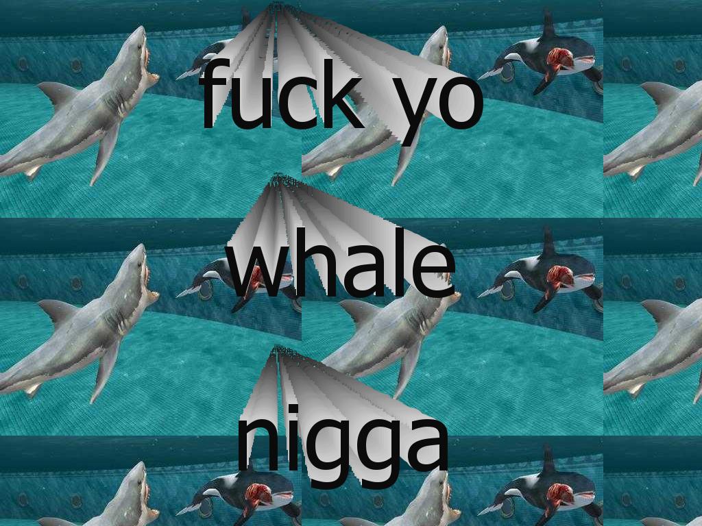 whalesarecutehehe