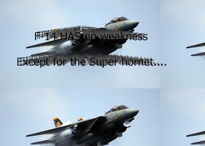 F-14 Has one weakness