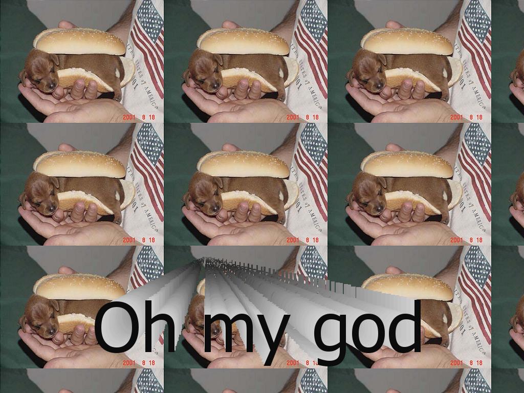 itsahotdog