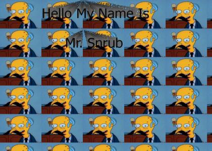 Hello My Name is Mr. Snrub