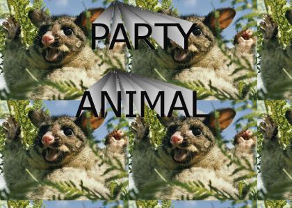 PARTY ANIMAL