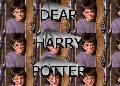 DEAR HARRY POTTER