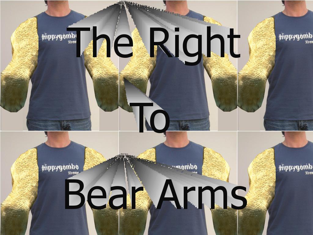 beararms