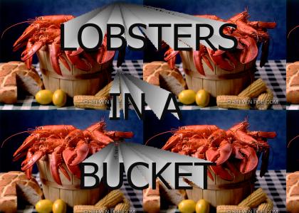 Lobsters in a Bucket