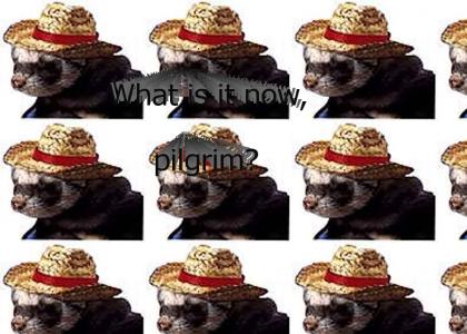 What is it now pilgrim?