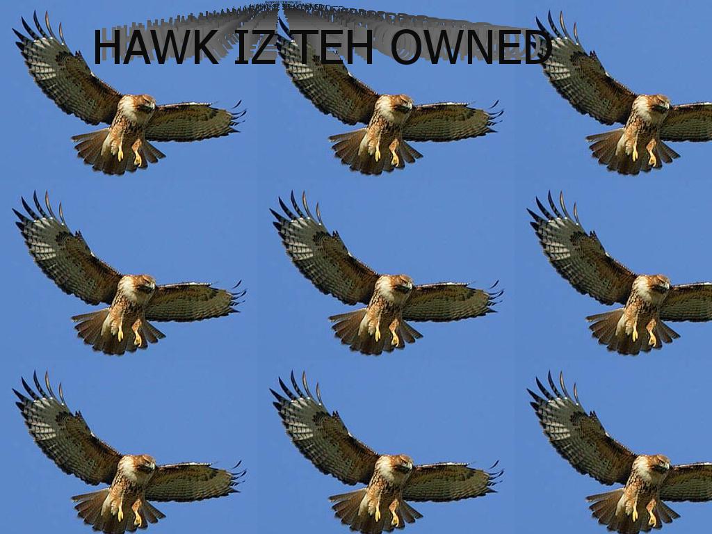 hawkeh