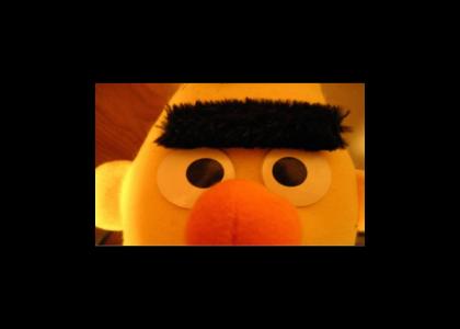 Bert Looks Into Your Soul....*Edited*