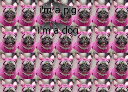 I'm a Pig, I'm a Dog