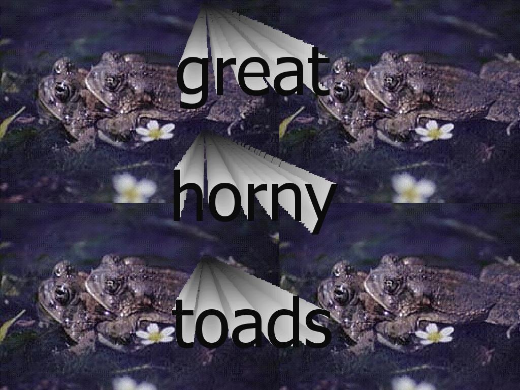 hornytoads