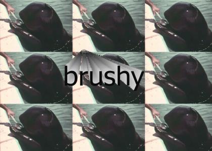 brushy bushy brushy brushy brushy