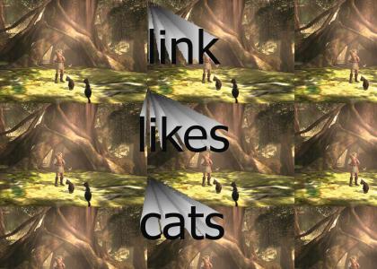 link likes cats