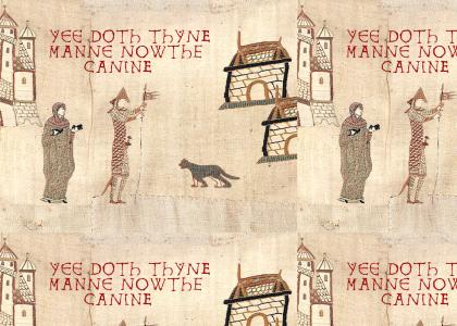ytmnd: the tapestry
