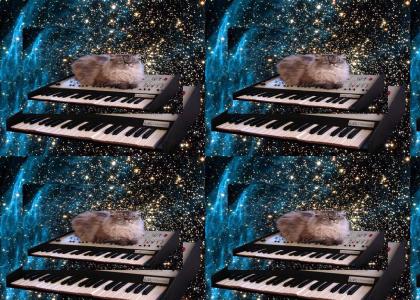 YTMNDTMND: catonakeyboardinspaceonakeyboardinspace