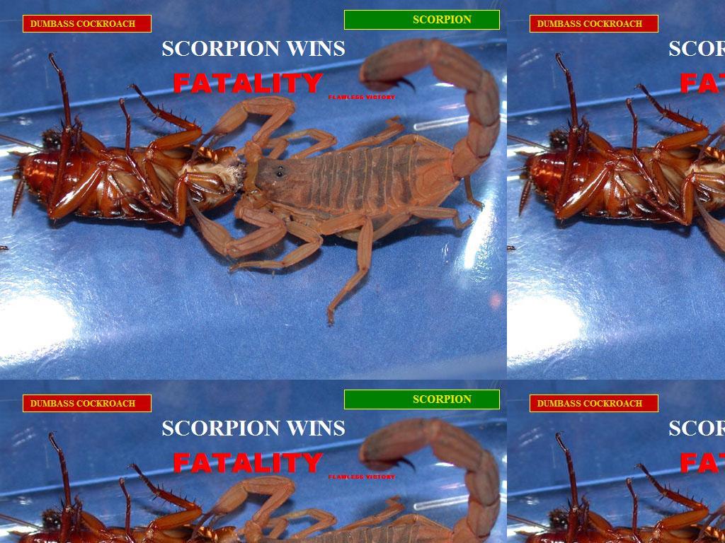 SCORPIONFATALITY