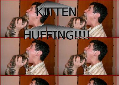 Kitten Huffing Is America's Pastime