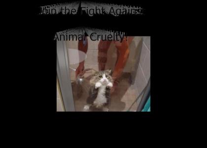 Animal Cruelty is No Good