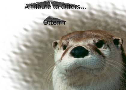 otters rule