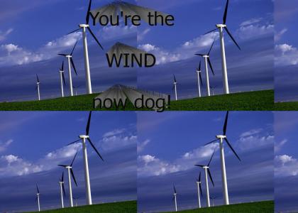 You're the Wind Now Dog!