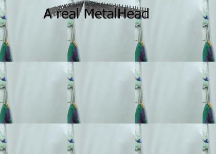 We Got A metal Head