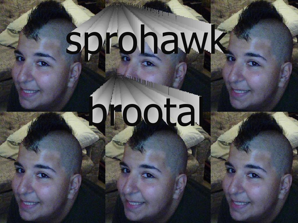 sprohawk