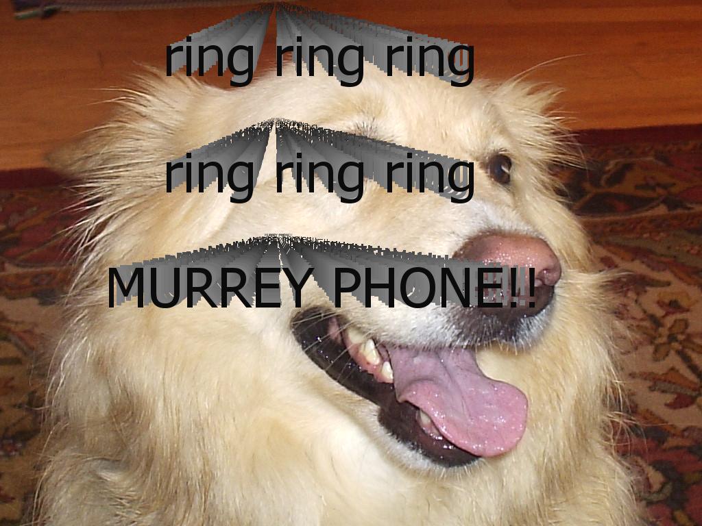 murreyphone