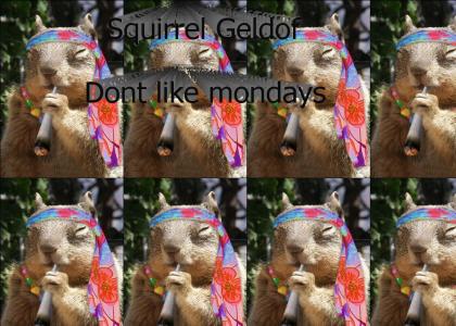 Squirrel Geldof