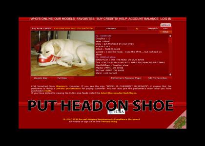 PUT HEAD ON SHOE (yesyes)