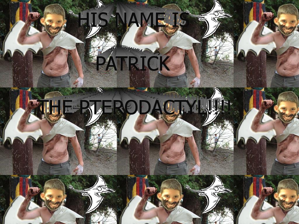 pterodactyl-pat