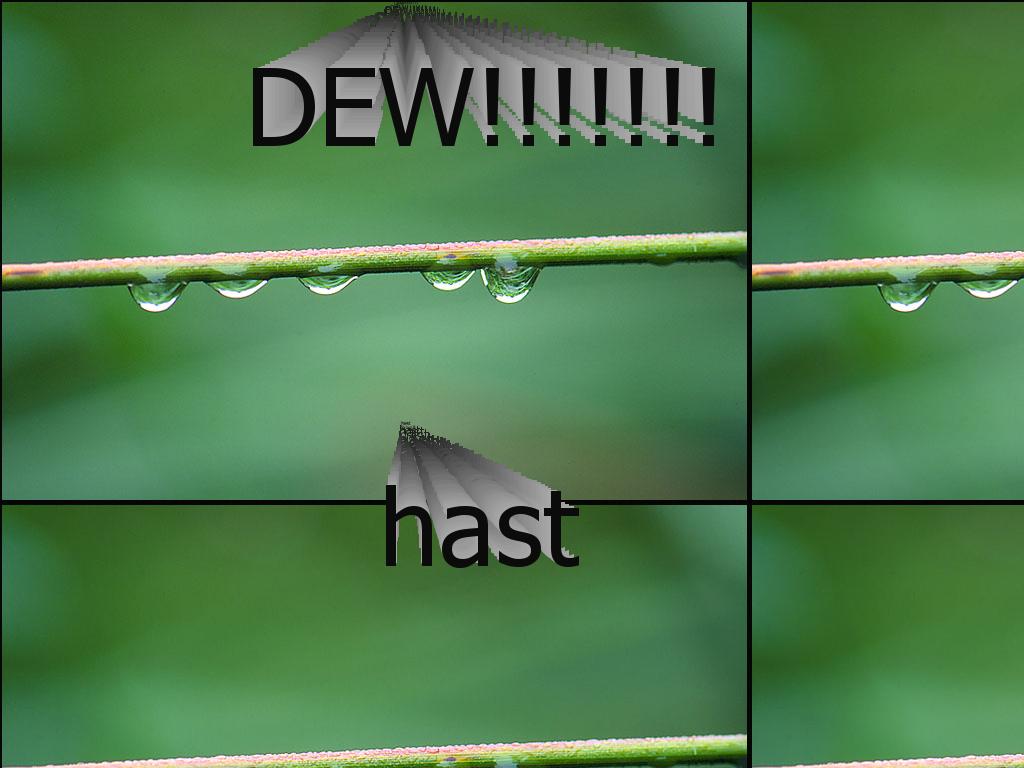 dewhast