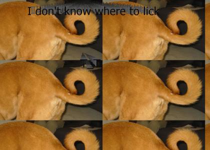 I don't know where to lick